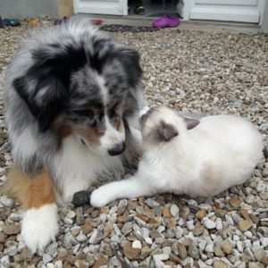 des bisous avec son ami chéri à quatre pattes