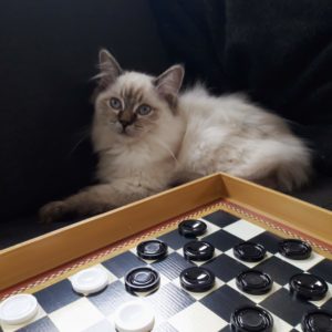 Et oui, bien sur elle joue