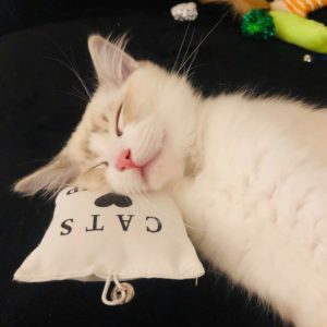 je suis beau moi !