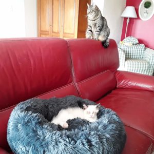 c'est super confortable, pas jaloux mon frère?