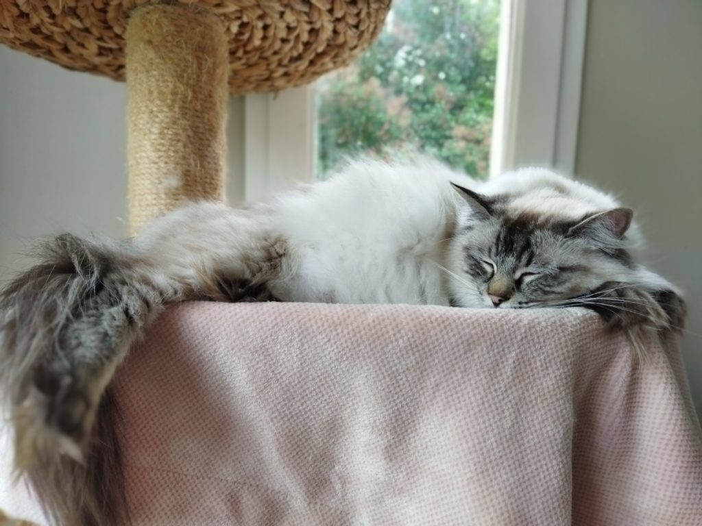 Oumi, la maman